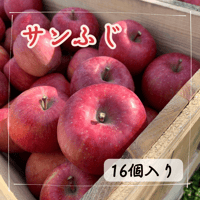 予約限定☀️サンふじ16個