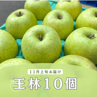 予約限定🍏りんごの王様【王林】10個
