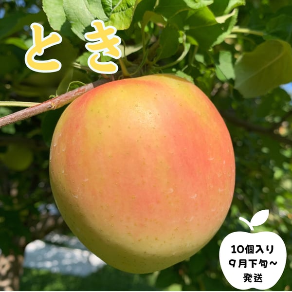 りんごママページ りんごママ｜note