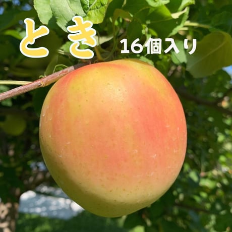 りんごママの山上農園