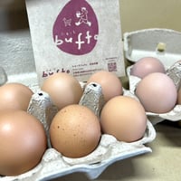 平飼い有精卵12個(6個×2)