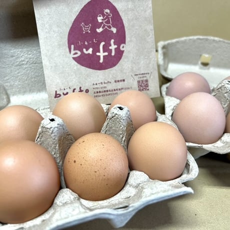 平飼い有精卵12個(6個×2)