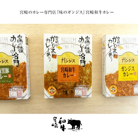 ガンジス・宮崎和牛カレー中辛180g