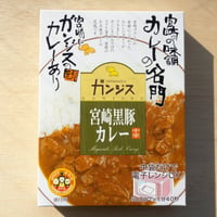 ガンジス・宮崎黒豚カレー中辛180g