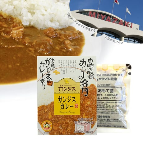 ガンジスカレー中辛180g