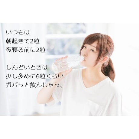牡蠣肉エキスサプリメント「Sea Well(シーウェル)480粒」