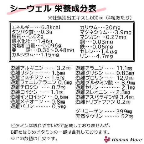 牡蠣肉エキスサプリメント「Sea Well(シーウェル)480粒」
