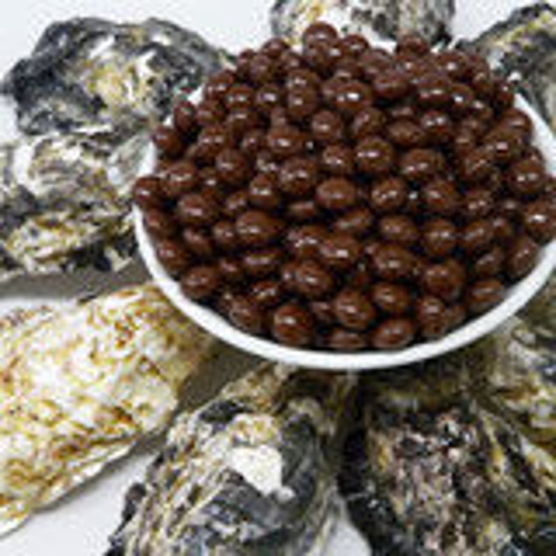 牡蠣肉エキスサプリメント「Sea Well(シーウェル)480粒」 | Human More'