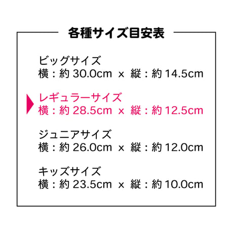 洗えるマスク（ニットタイプ） レギュラーサイズ ３枚セット
