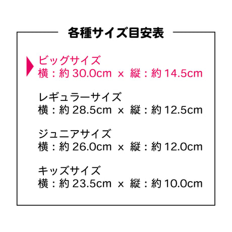 洗えるマスク（ニットタイプ） ビッグサイズ ３枚セット