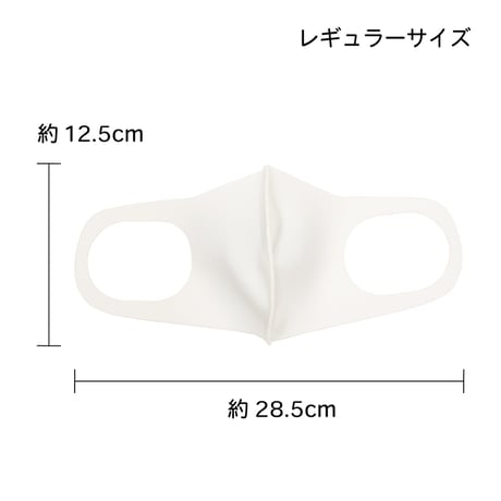 洗えるマスク（ニットタイプ） レギュラーサイズ ３枚セット