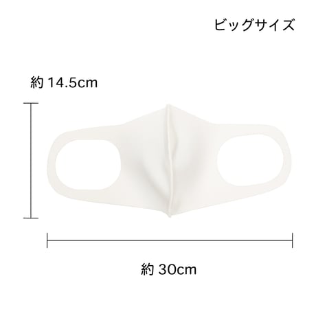洗えるマスク（ニットタイプ） ビッグサイズ ３枚セット