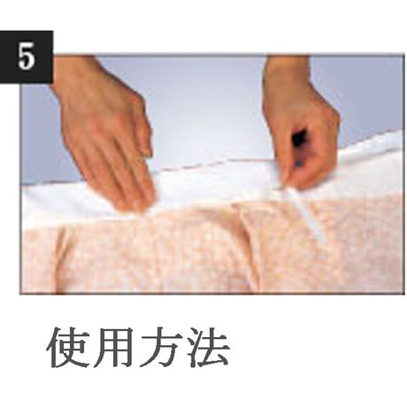 半衿（塩瀬・絽）
