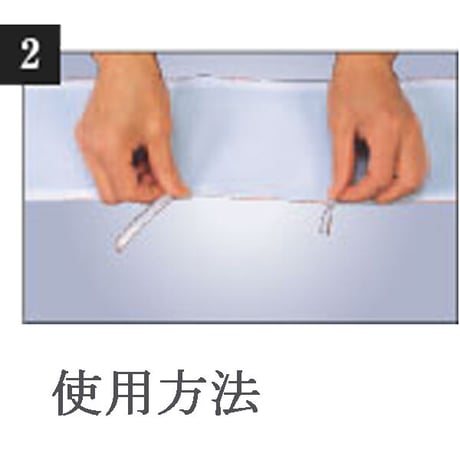 半衿（塩瀬・絽）