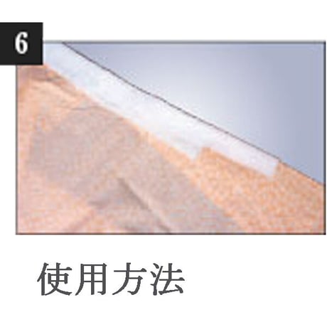半衿（塩瀬・絽）