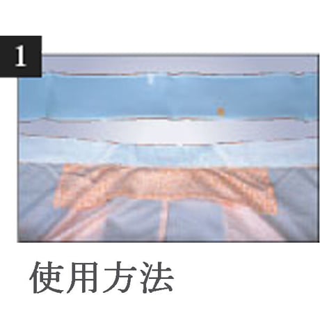 半衿（塩瀬・絽）