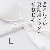 メッシュ補整じめ 　Lサイズ