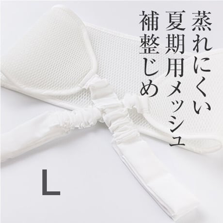 メッシュ補整じめ 　Lサイズ