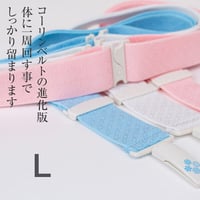 コーリンベルト　しっかり　Lサイズ