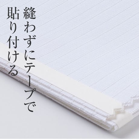 半衿（塩瀬・絽）