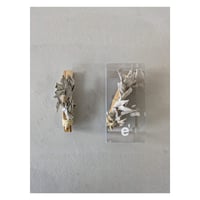 PALO SANTO(ホワイトセージ付き)