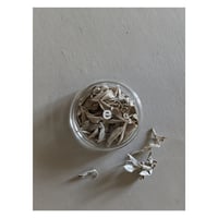 WHITE SAGE