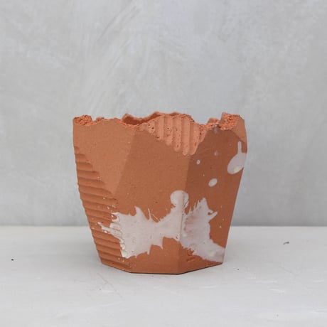 N/OH 澪標】S –PERSIMMON PORTOLANO EXCLUSIVE 溌（No.