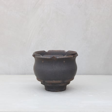 大貫 弘由岐 鉢 fit=scale-down,w=1200