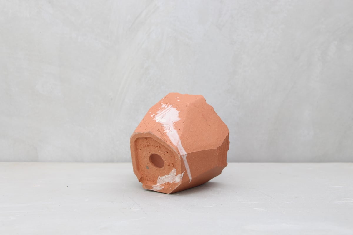 N/OH 澪標】SS– PERSIMMON PORTOLANO EXCLUSIVE 溌（No