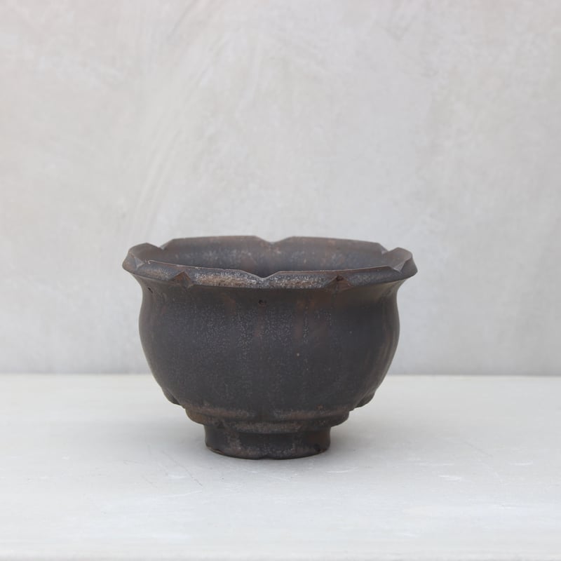 大貫弘由岐さん　植木鉢 限定コラボモデル】大貫弘由岐 GEO 大鉢 価格