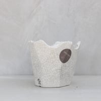 N/OH 澪標】S –PERSIMMON PORTOLANO EXCLUSIVE 溌（No.