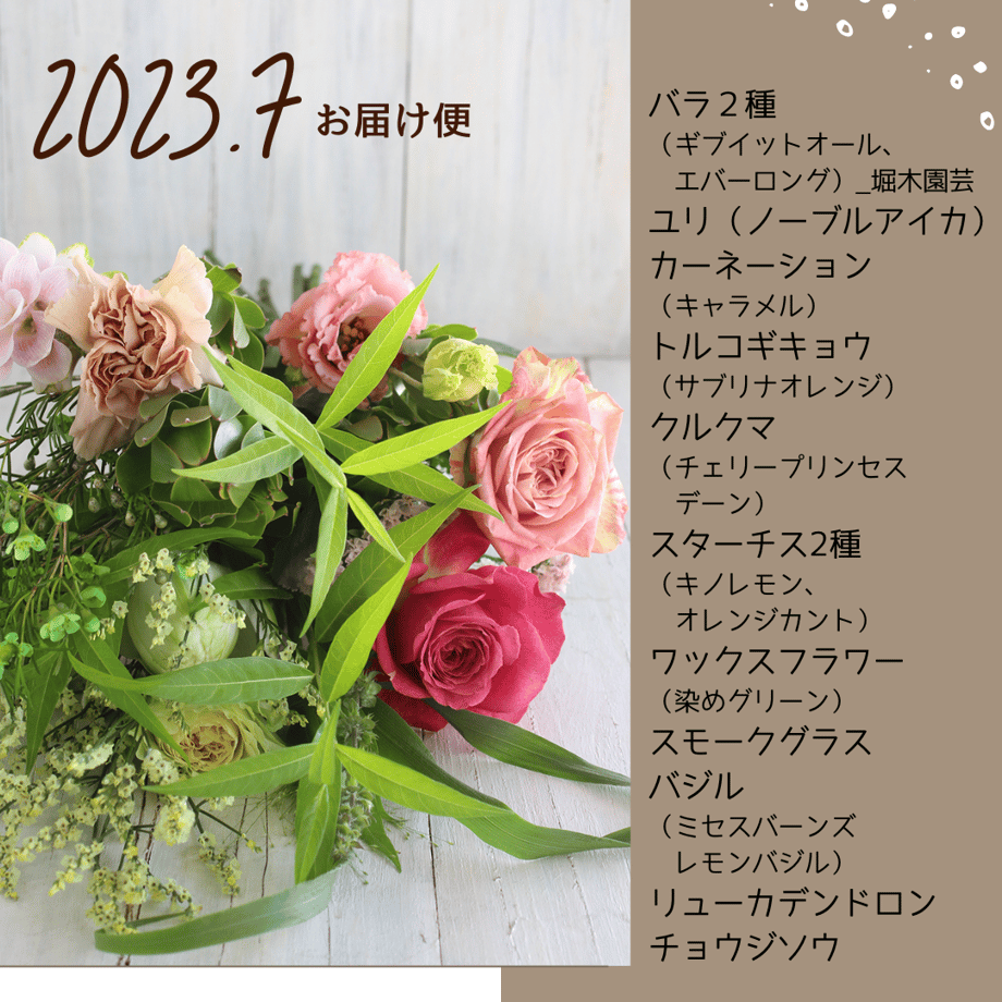 6376f08d5988dc7633074add
