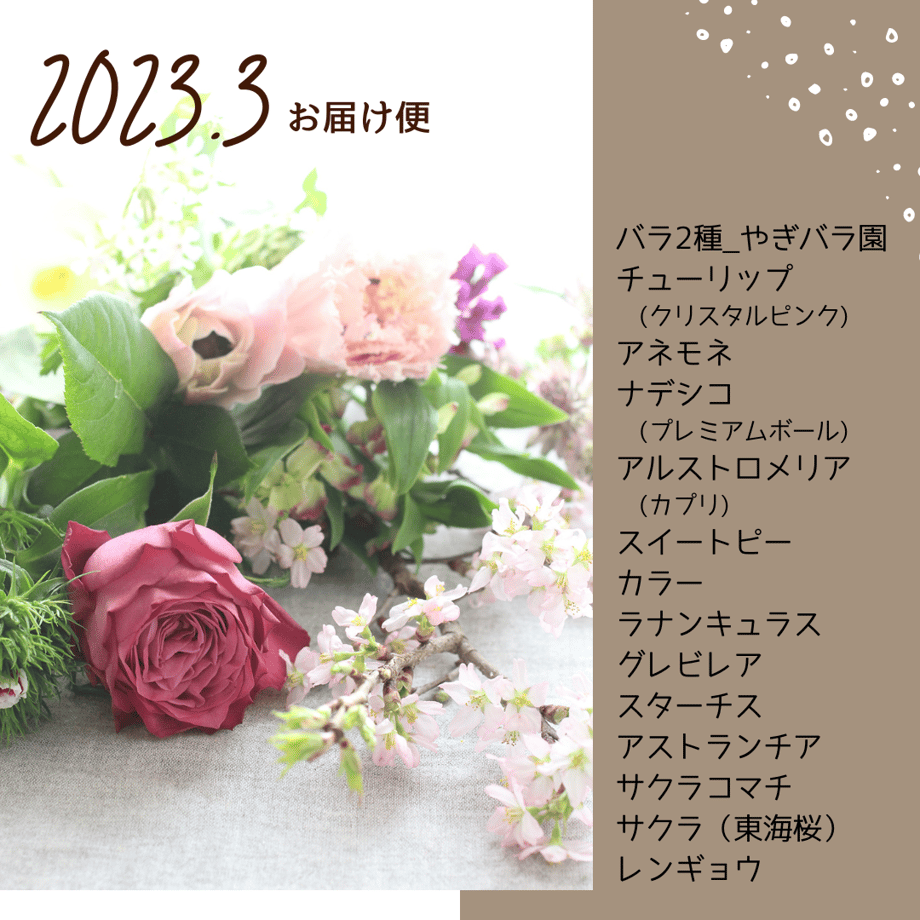 6376445cc808a414865a8f90