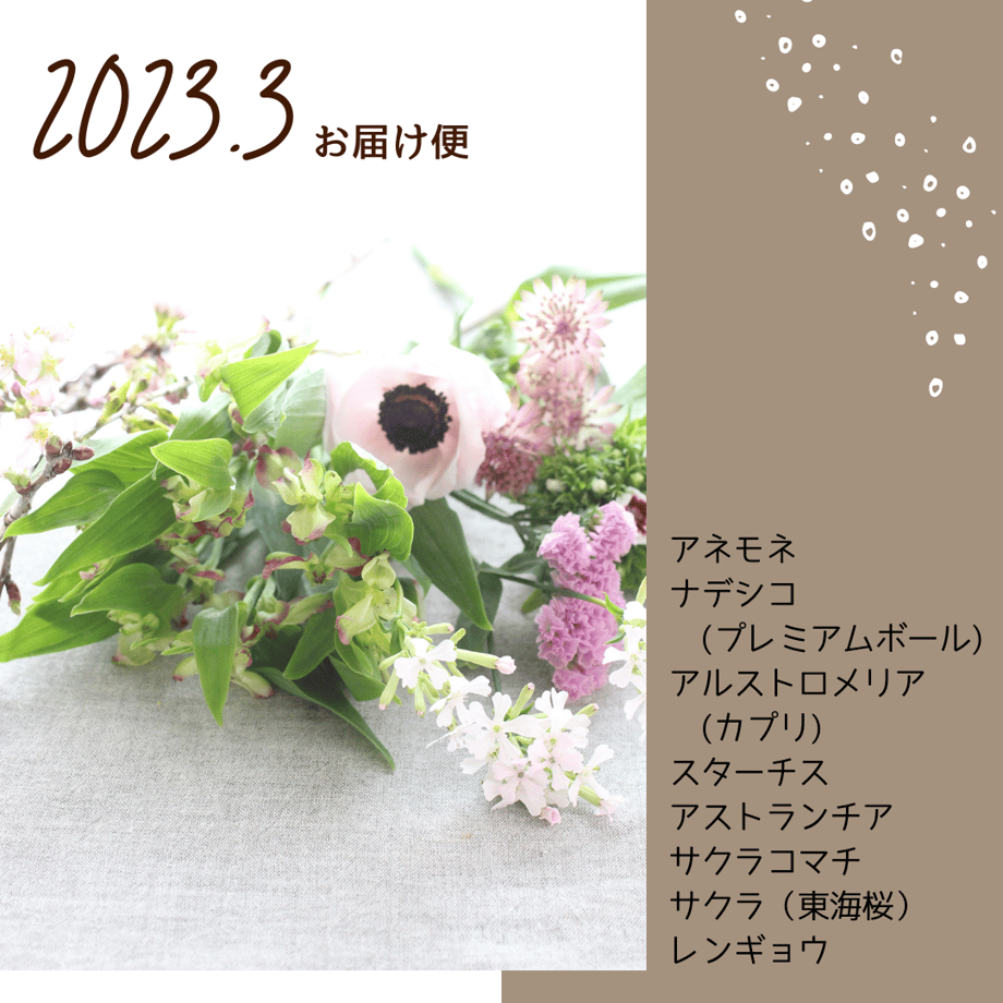 63bcc0645ff42307d7178c51