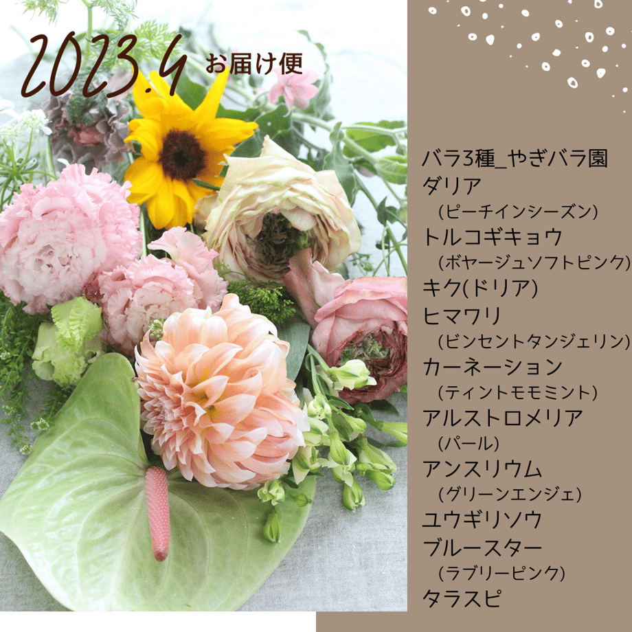 6376f1f6211ac37f1adbb68b