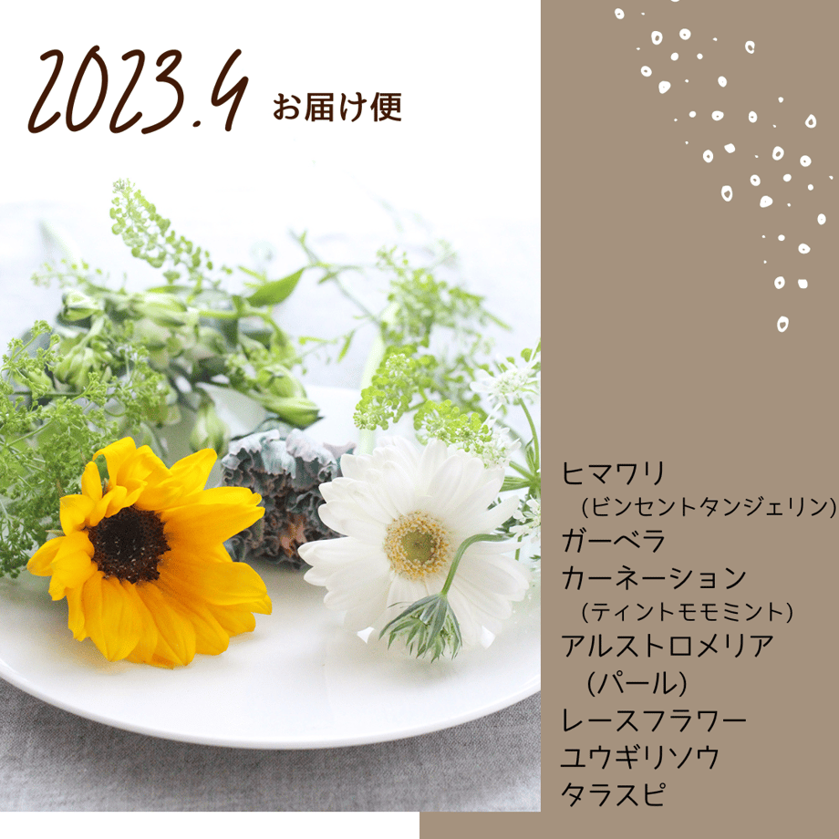 63bcc0645ff42307d7178c51