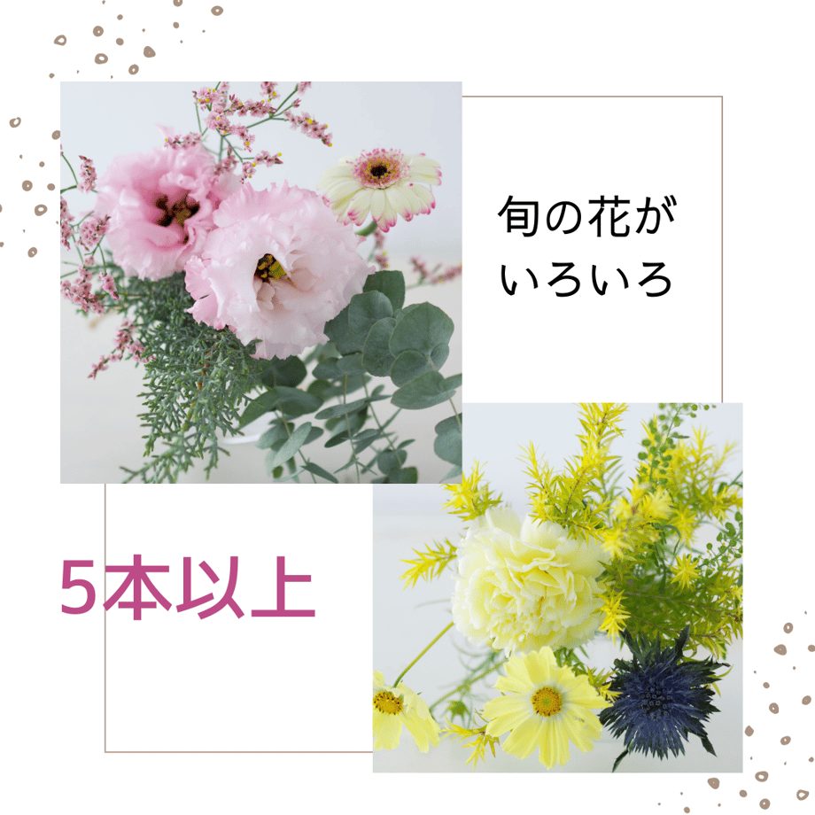 63bcc0645ff42307d7178c51