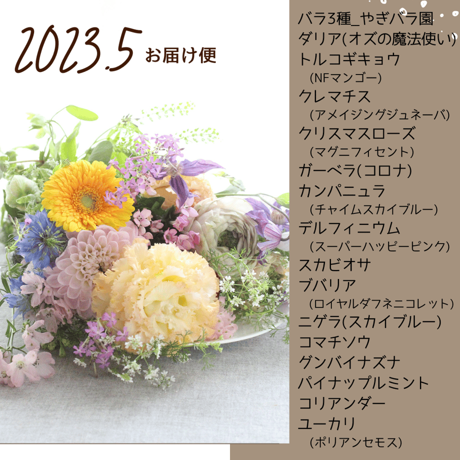 6376f1f6211ac37f1adbb68b