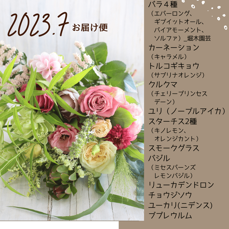 6376f1f6211ac37f1adbb68b