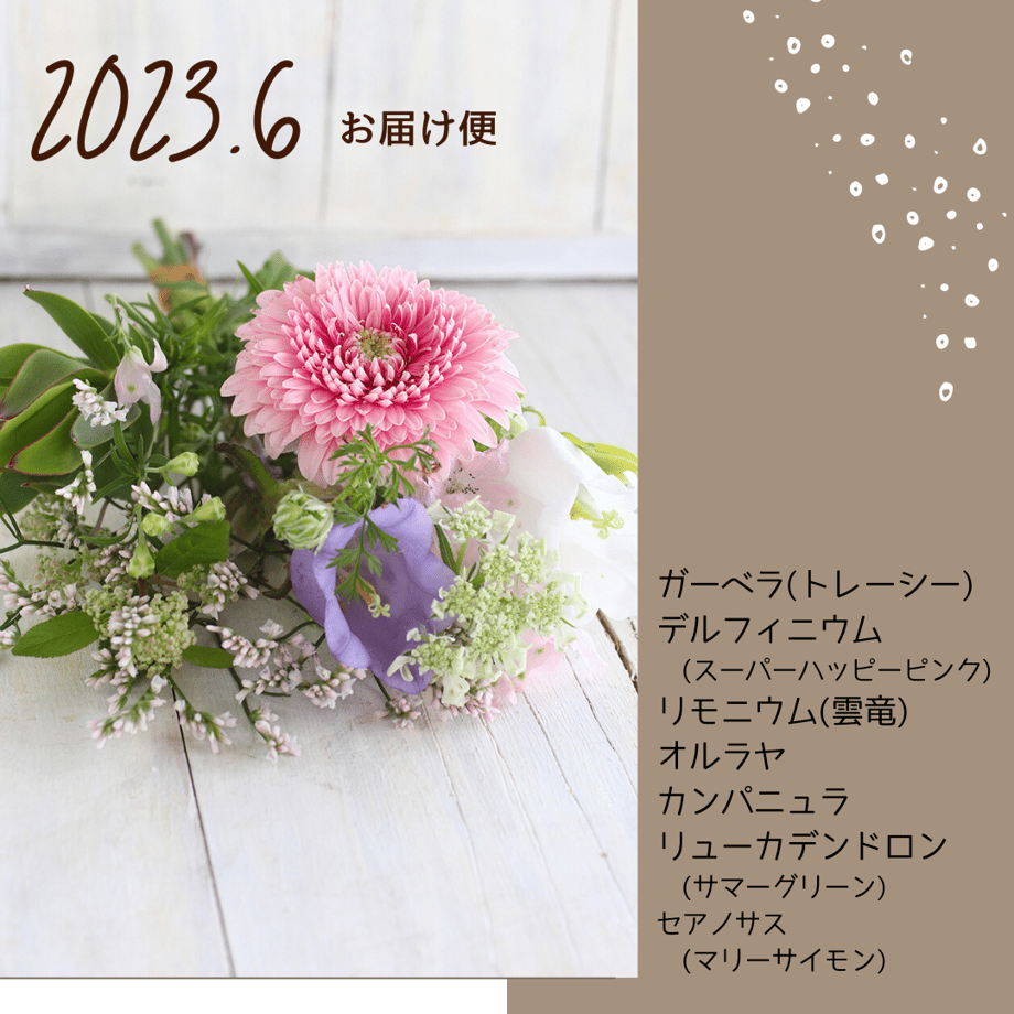 63bcc0645ff42307d7178c51