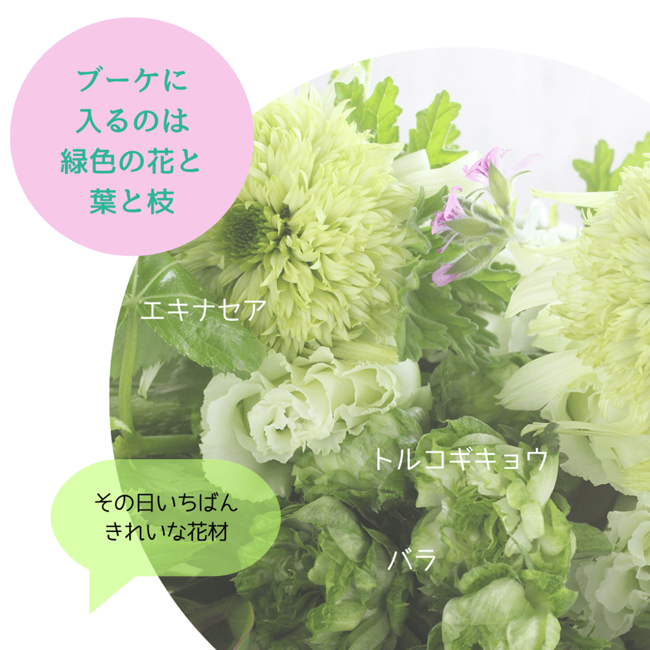 649862f03ffe3e007be0879f
