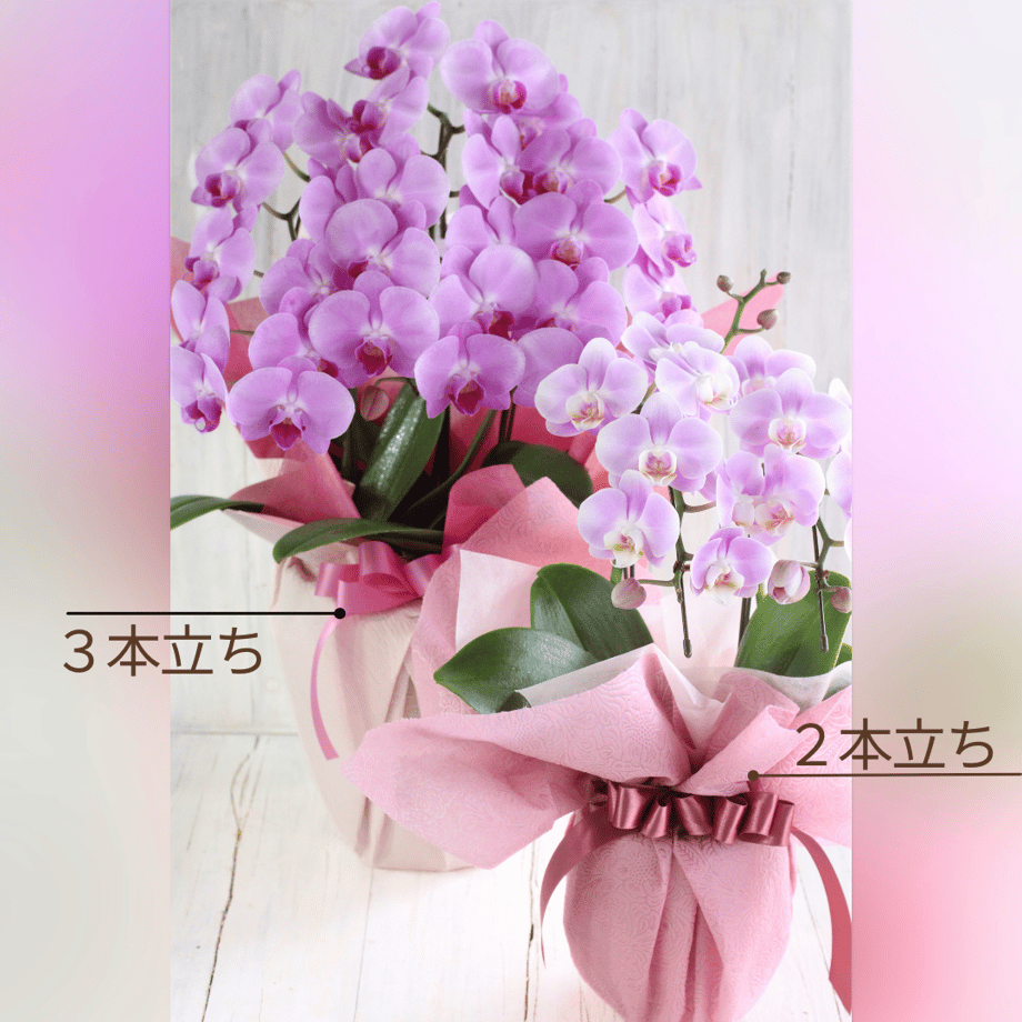 651999cbbd174858ae911ddb