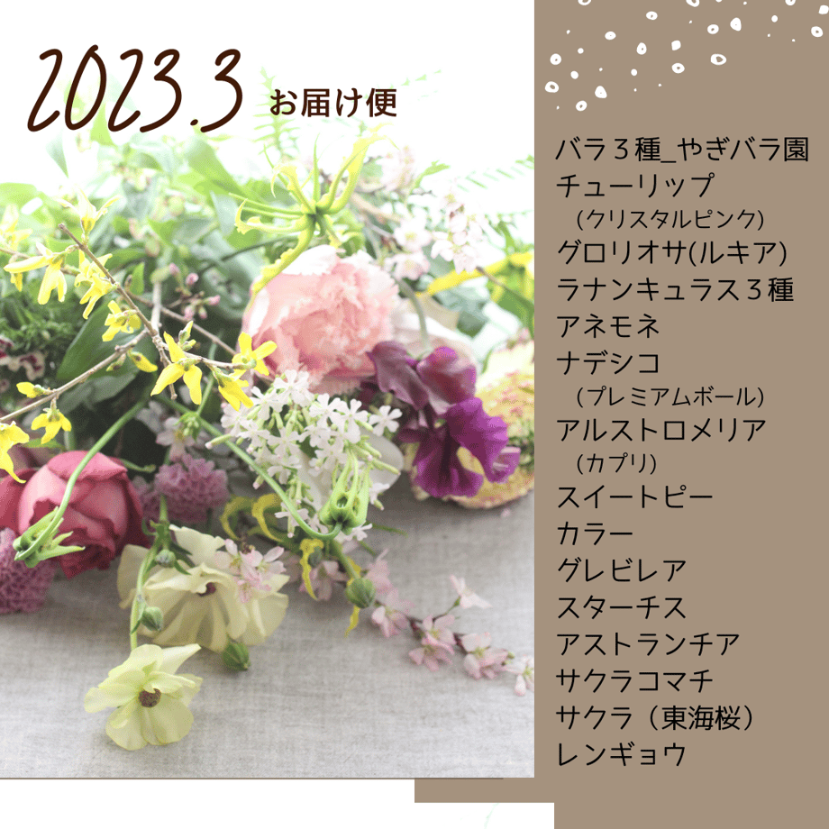 6376f1f6211ac37f1adbb68b