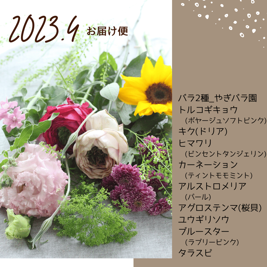 63bcc0e3c1f8c5501be382dd