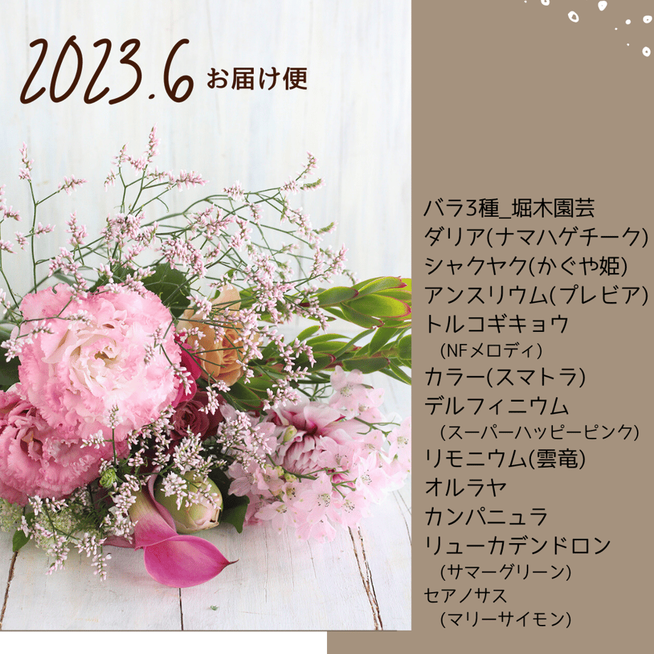 6376f1c1f519735be7cf2376