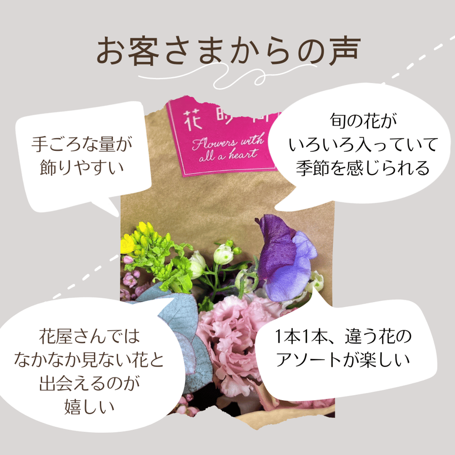 63bcc0645ff42307d7178c51