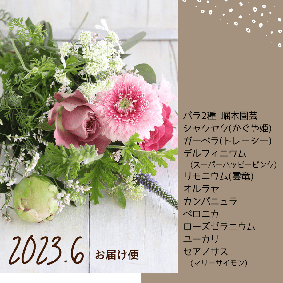 63bcc0e3c1f8c5501be382dd