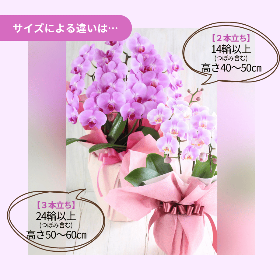 651999cbbd174858ae911ddb