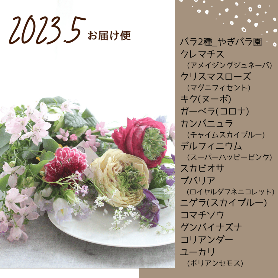 6376445cc808a414865a8f90