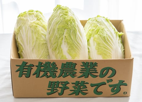 有機白菜